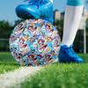 Saint Seiya Indoor Soccer Ball Size 5 Colorful All Ages Machine Stitched PVC Competition Ready Durable High-Bounce