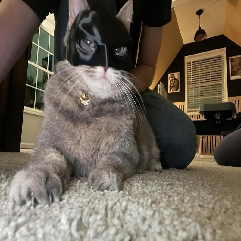 Cat Mysterious Cosplay Hat Pet Cat Halloween Cosplay Horror Mysterious Hat Enhance Festive Atmosphere 3D Printing Cosplay Masque