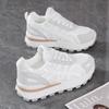 Autumn New Breathable Mesh Shoes Thick-soled Heightening Sports Shoes Casual Dad Trendy Shoes