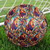 1pc Lion Jungle Theme Soccer Ball Football, Size 5, Lightweight PVC, Outdoor Training Soccer Ball,Sports Gift t61496