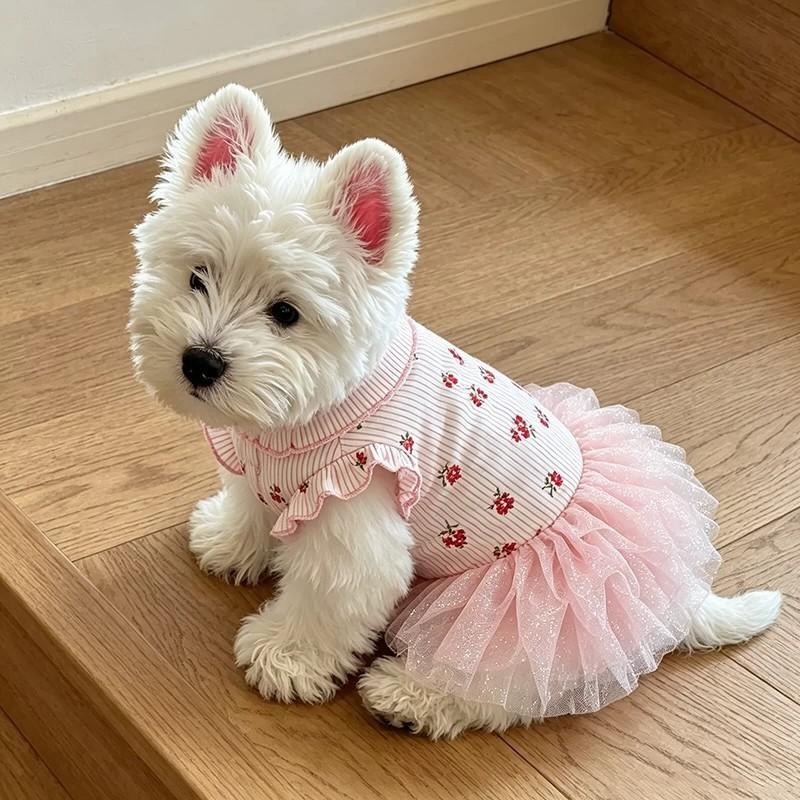 Haustier Hundekleid Floral Netz Tutu Rock Kleine Rassen Wie Bichon Frisé West Highland White Terrier
