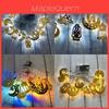 Exquisite Eid Mubarak Ramadan Led Fairy String Light For Festive Home Decor