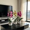 Butterfly Orchid Plastic Flower Plant With Base For Home Decor And Photography Props
