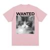 Wanted Cat Cute Funny Kawaii Kitten Graphic Tee Shirt Unisex Women Clothing Fashion Vintage Hot Sale T Shirts Cotton Casual Tshirt