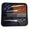 Portable Pet Grooming Scissor Set: Flat & Curved Hairdressing Tools