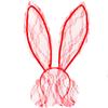 Fashion Lace Bunny Headband Veil Mask Rabbit Ears Headband Nightclub Performance Hair Accessories Headgear
