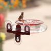 Window Hummingbird Feeder with Strong Suction Cups Easy To Clean Refill Leak-Proof Plastic Birds Feeder with 5 Feeding Ports for Birds Lovers