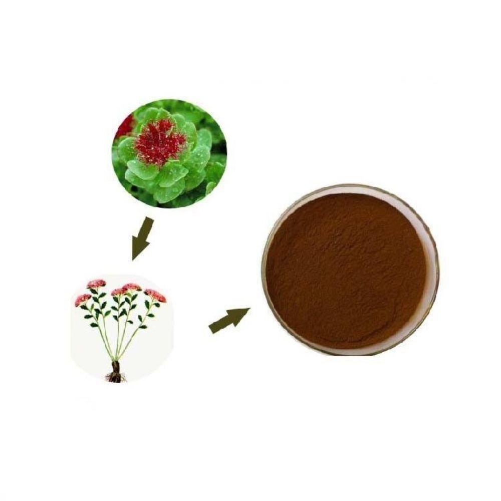 Natural Rhodiola Rosea Root Extract Powder 200g for Energy Vitality 01