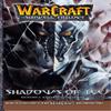 WarCraft The Sunwell Trilogy 2 Shadows of Ice by Kim JaeHwan Paperback Book 9781945683190
