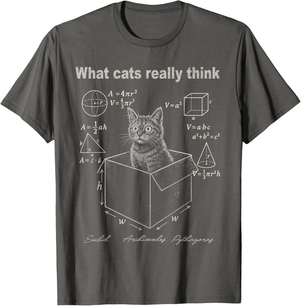 Cat in Box Math Humor TShirt Funny Logic Formulas Graphic Tee for Men Women Casual Clothing Fashion Summer Streetwear