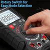 ZOYI 1KV Rechargeable Insulation Resistance Tester, High Precision Digital Megohmmeter, Multifunctional Megger Multimeter