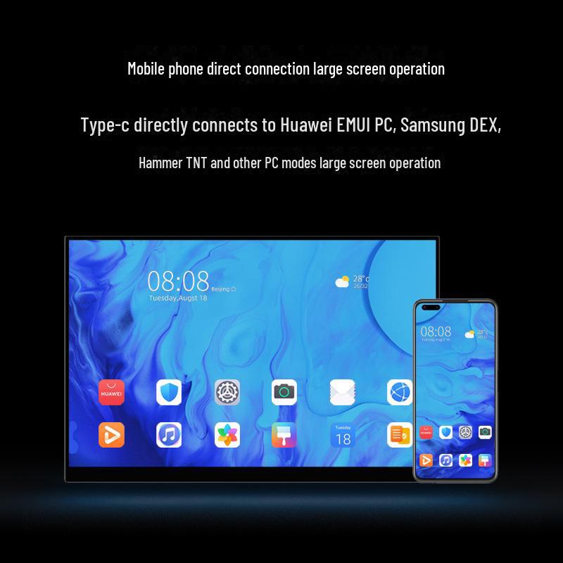 Spot 15,6" 4K tragbares externes Display für Laptop, Telefon, Switch, PS5