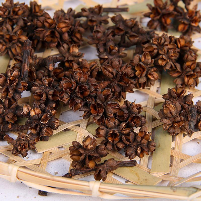 Christmas Pine Cones & Dried Flowers Pack - Eucalyptus, Pine Wood, Cotton, Handmade Photography Props