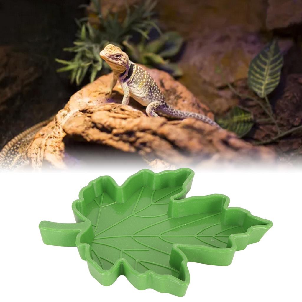 Maple Leaf Shape Reptile Water Feeder Plastic Pet Feeding Bowl Drinking Tray for Geckos Lizards Spiders Turtles