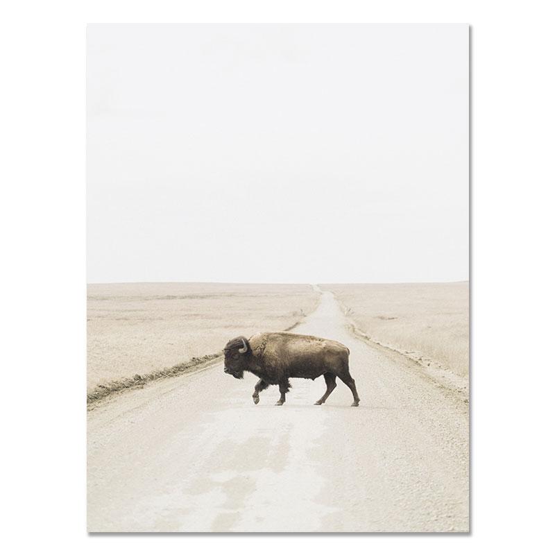 

Настенный постер с изображением бизона и принтом, картина с изображением крупного рогатого скота, американская юго-западная ферма, настенная картина для декора гостиной 21x30cm No Frame