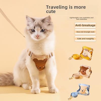 Katzen – Katzenhalsbänder & Leinen