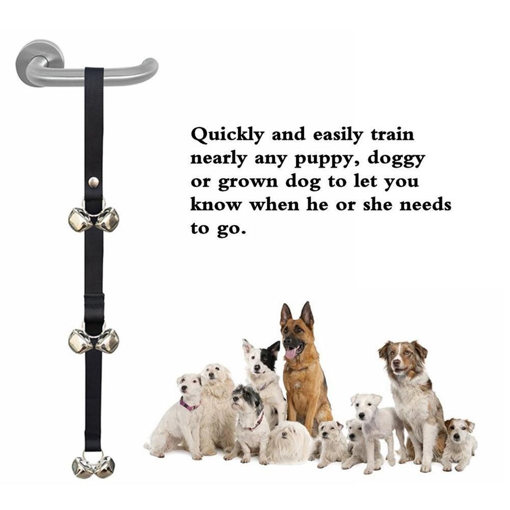 dog leads with warnings