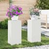 Plant Stand 2 pcs White 24 x 24 x 55 cm Steel