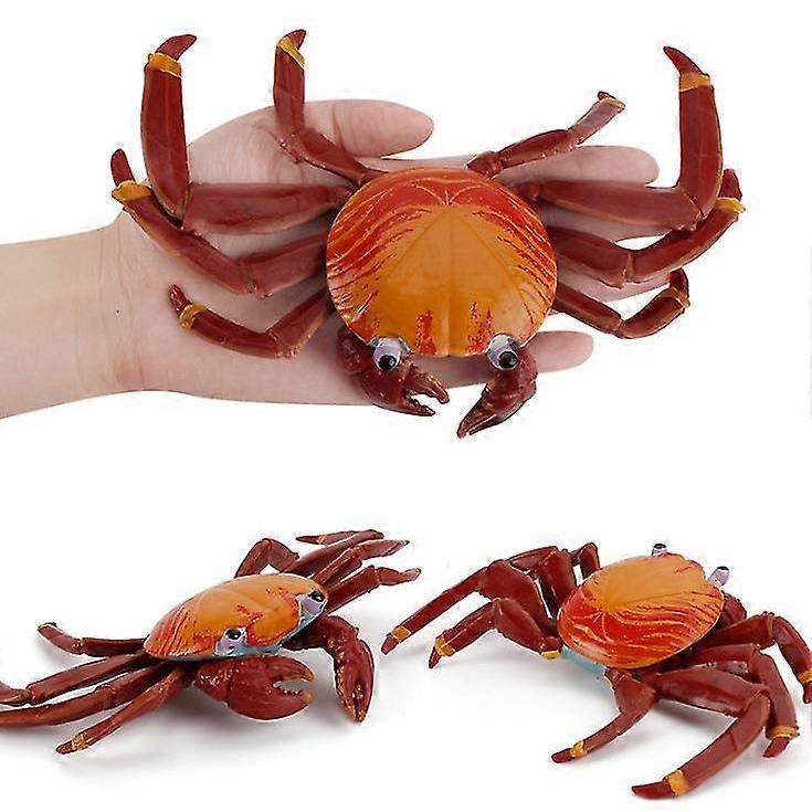 6pcs Crab Toy Educational Simulation Animal Marine Life Model Realistic Gift Props Children Learning
