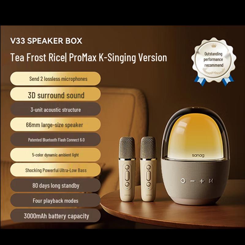 Saina V33 Pro Max Portable Bluetooth Speaker with Microphone