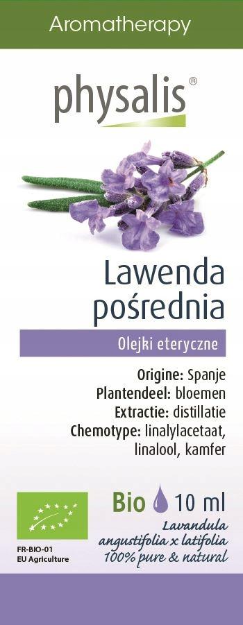 Physalis Lavender Essential Oil 10
