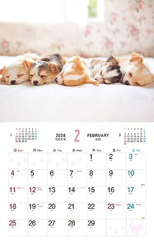 Cățeluș pufos (Calendar Impress 2024)