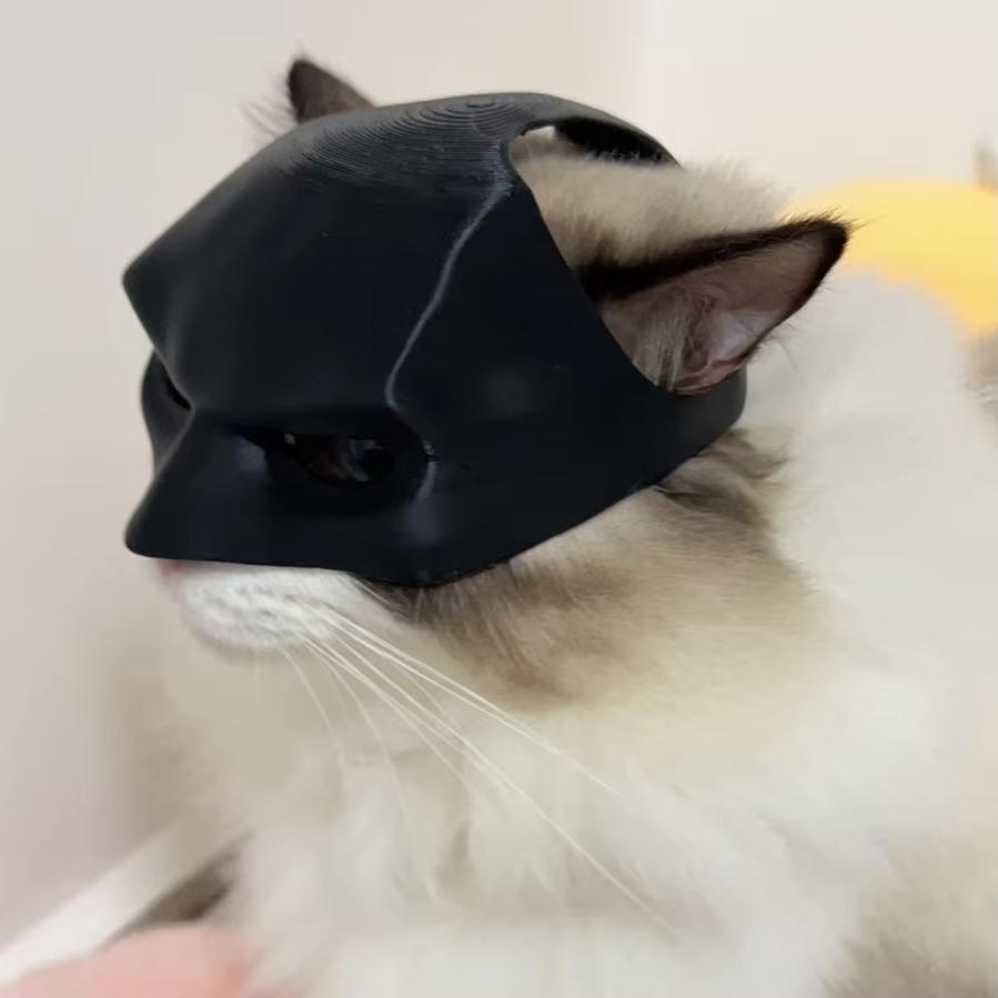 Fledermaus Katze Rächer Maske Schwarz Matt Fledermaus Maske Superheld Haustierspielzeug Katze Fledermaus Haustier Mann Maske für Katze und Hunde Gruseliges Make-up Party Spielzeug