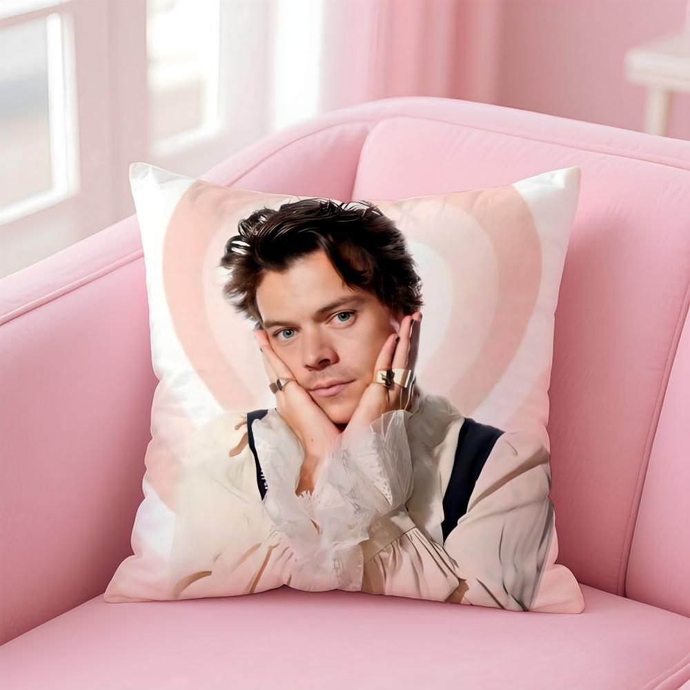 

H-Harry Styless Singer Cushion Cover Comfortable Reversible Pillow Cover Ideal For Car Sofa Bedroom & Beyond 30cmx30cm