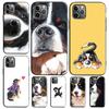 Bernese Mountain Dog Case For Oppo A98 A18 A38 A58 A78 A60 A80 A40 A96 A76 A16 A94 A74 A54 A15 A17 A57 A77 A5 Pro