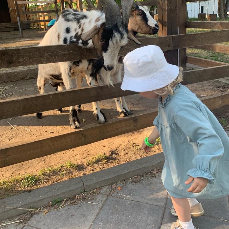 YUBAOBEI Jaro Podzim v korejském stylu Dívčí šaty s dlouhým rukávem Bavlna a len Volné princeznovské šaty