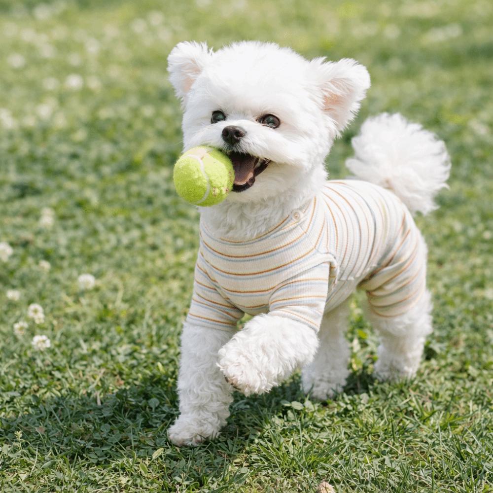 Comfortable Pet Bottoming Shirt Four-legged Dog Pajamas Dog Striped Jumpsuit  Belly Protective