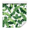 Banana Leaves Wallpaper for Living Room and Bedroom 50x1000