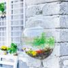Transparent Creative Wall Mounted Acrylic Fish Bowl Hanging Aquarium Fish Tank Home Decor (23cm Diameter) (23CM)