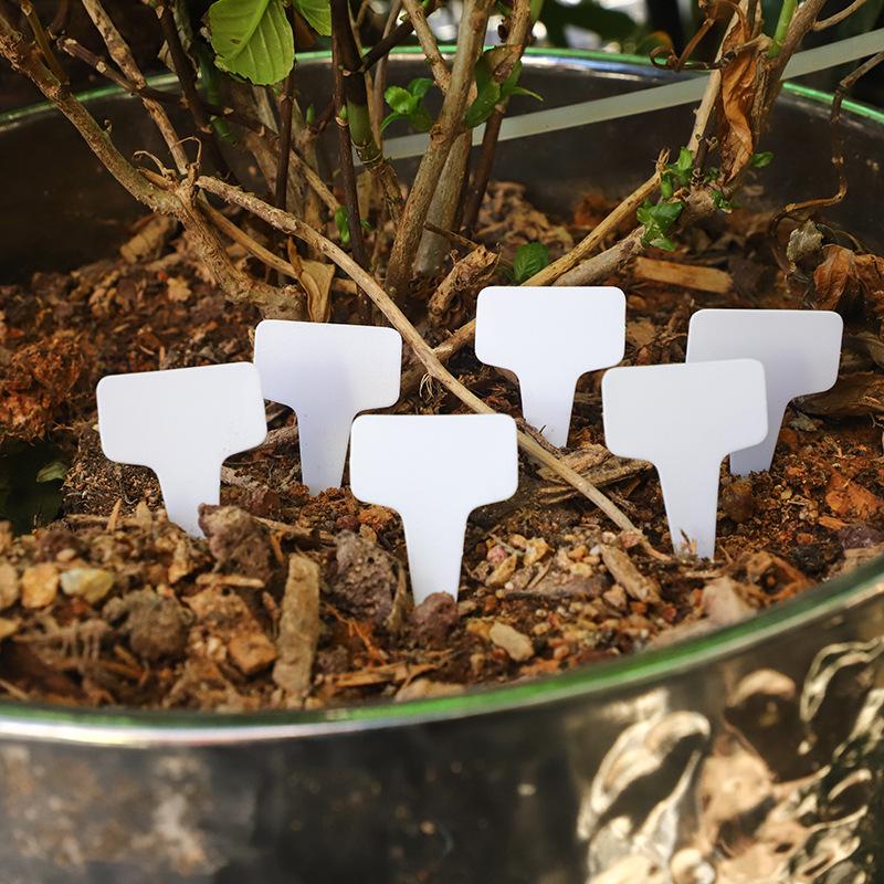 Waterproof T-Type Succulent & Plant Label Cards