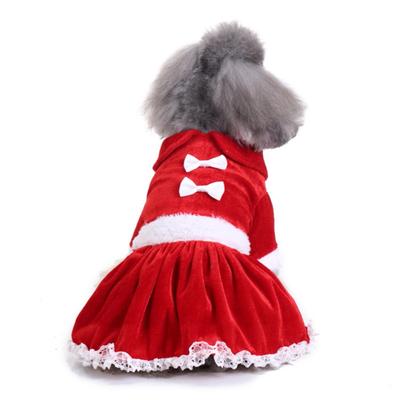 Abbigliamento e scarpe – Abiti per cani