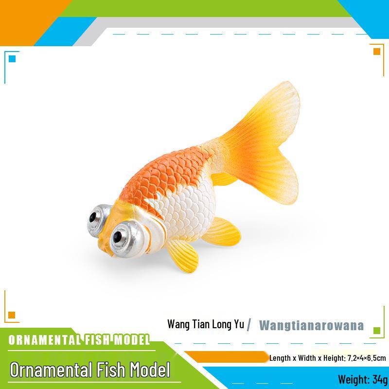 Ornamental Fish Model: Red-crowned Crane & Skygazer Dragon with Water-bubble Eye Shubunkin Goldfish Koi