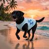 Thin Breathable Dog Summer Clothes Soft Fabric Cooling Pet Vest Mesh Dog Vest  Casual Outfit