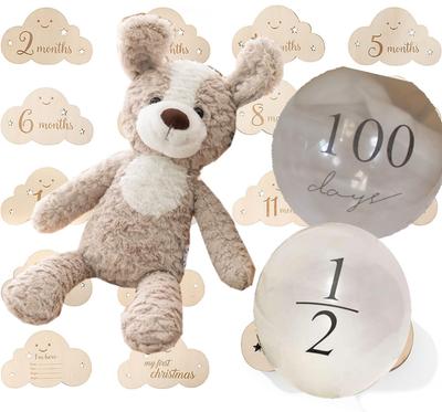 Erster Spielzeugbär mit Foto Perfekt für Halbes 100 und Baby Meine Baby-Liste Plüsch Perfekt als Geschenk oder Babyparty Holzetikett und JP-SAKURA [Authentisch] Set,