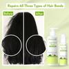 WishCare Triple Bond Repair Hair Serum for Dry Frizzy Hair 100ml - Strengthen & Smooth All Hair Types