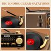 Retro Vinyl Player Style Radio, Portable FM/AM/SW & Wireless Streaming, Unique Vintage Decor For Home & Gift Idea