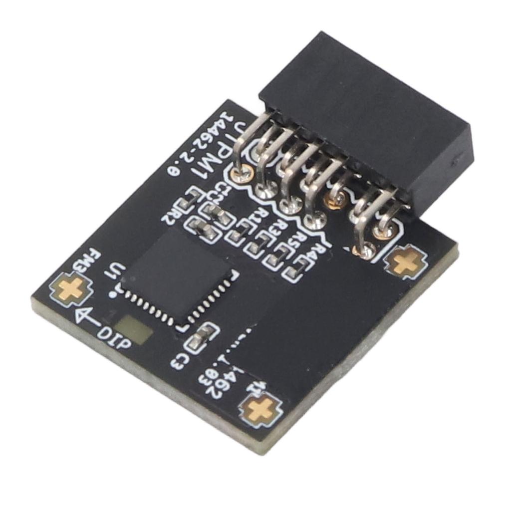 TPM2.0 Module TPM SPI 12Pin Module with SLB 9670 Security Module for Windows 10 11 Motherboards