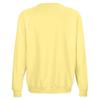 SOLS Unisex Adult Columbia Crew Neck Sweatshirt