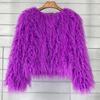 Women Faux Fur Coat Autumn Winter Fluffy Short Coat Faux Fur Jacket