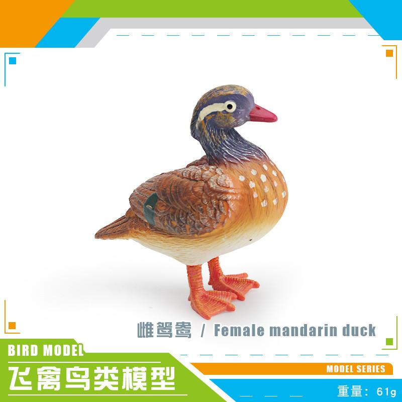 Realistic Decorative Animal Model Set Featuring Colorful Duck Sparrow Finch And Tit For Home And Office Display