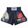 Boxing MMA Fight Shorts Kids Adults Muay Thai Martial Arts Training