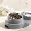 Pet Feeder 2 in 1 Ciotola per l'alimentazione degli animali domestici, Distributore automatico di acqua per cani e gatti con ciotole in acciaio inossidabile rimovibili Forniture per animali domestici