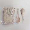 ZISIZ Individually Wrapped Disposable Spoon
