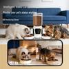 Smart Dual-Lens Automatic Cat Feeder with Camera
