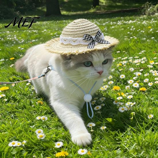 Cute Pet Straw Hat Cat Hat, Sun with Lace And Bow, Summer Breathable Protection for Cats Small Dogs Outdoor Walks