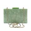 Bags For Women 2022 New Luxury Handbags Designer Clutches Coin Purse Pure Green Cute Shoulder Bag Fashion Mark Acrylic Crossbody